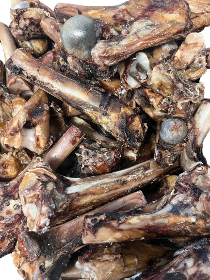 Air Dried Wild Venison Cannon Bone Half