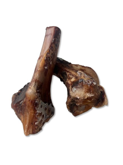 Air Dried Wild Venison Cannon Bone Half