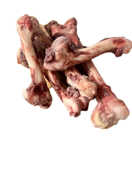 Frozen Venison Cannon Bones Pack of 5