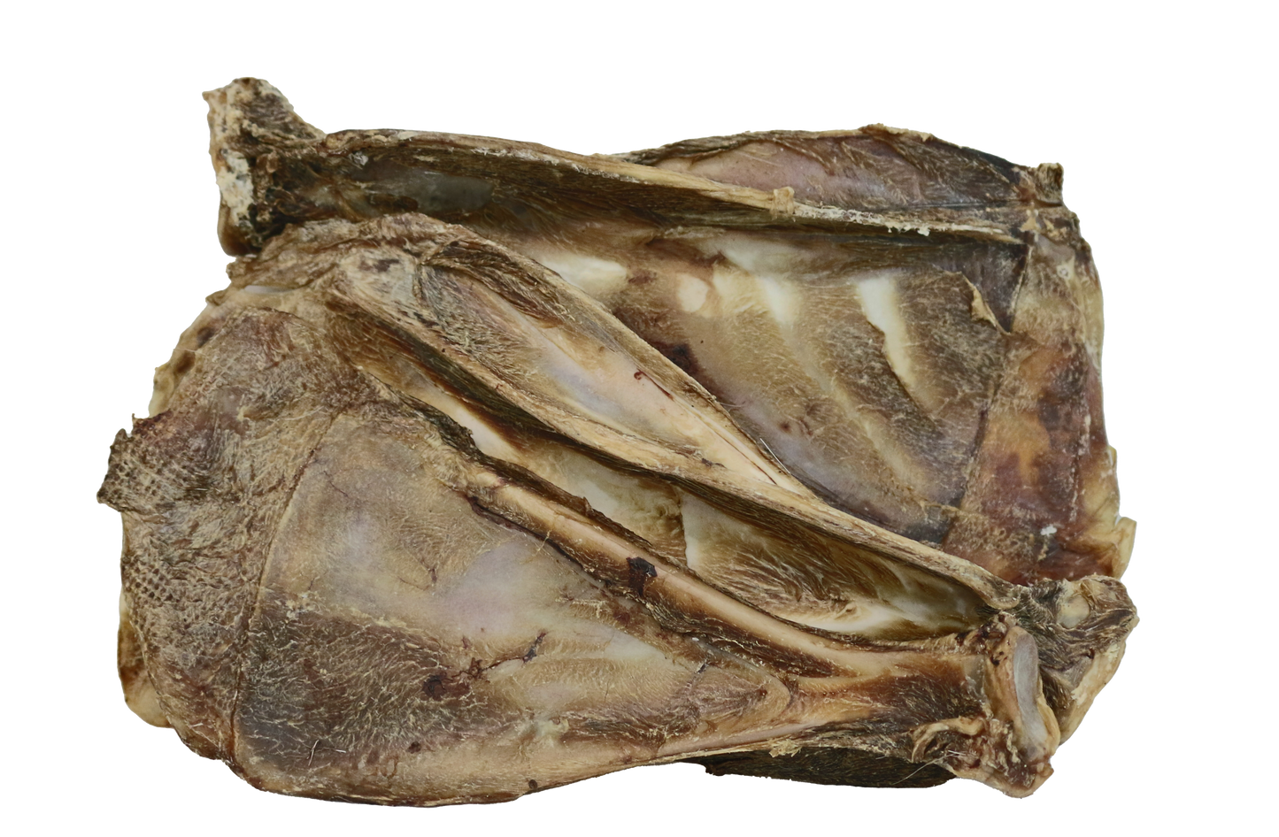 Shoulder Blade Boredom Buster