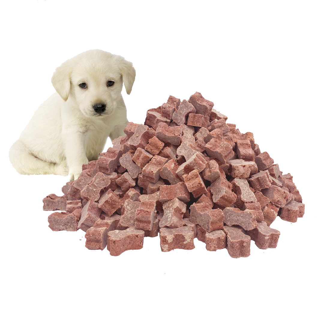 Puppy Food - 15Kg Wild Goat Medallions Bundle. Shipping included.