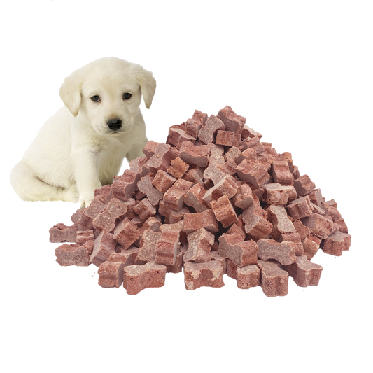 Puppy Food - 15Kg Wild Goat Medallions Bundle. Shipping included.