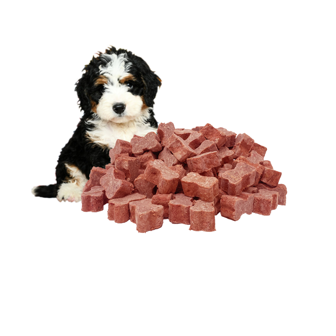 Puppy Food - 5Kg Wild Venison Medallions Bundle. Shipping included.