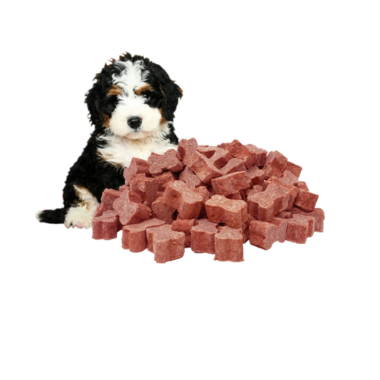 Puppy Food - 5Kg Wild Venison Medallions Bundle. Shipping included.