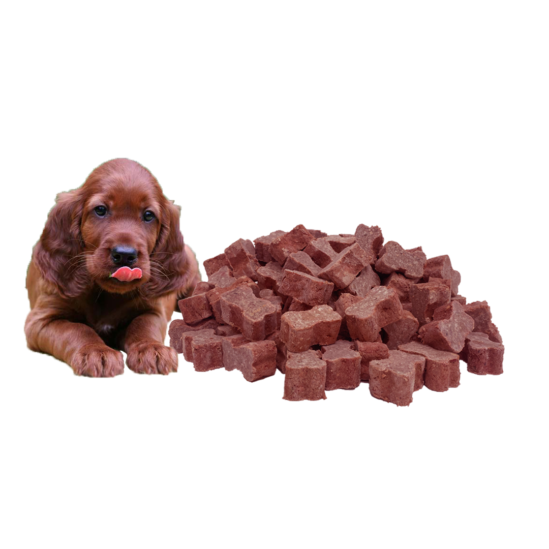 Puppy Food - 5Kg Wild Goat Medallions Bundle. Shipping included.