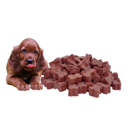 Puppy Food - 5Kg Wild Goat Medallions Bundle. Shipping included.