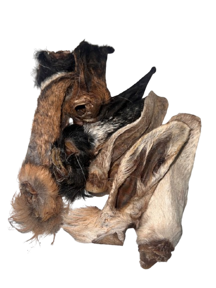 Air-Dried Wild Goat Ears 8 pack