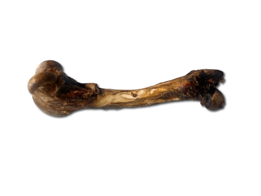 Whole Air-Dried Wild Venison Cannon Bones